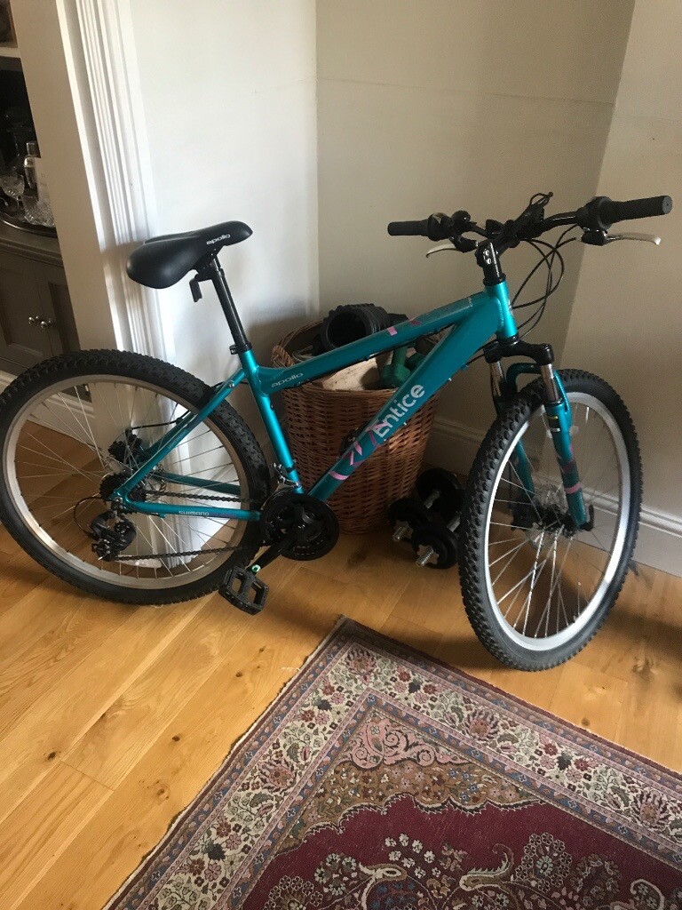 gumtree womens bike